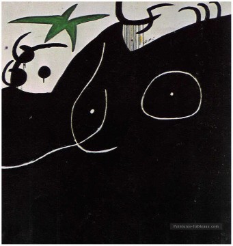  Joan Peintre - Femme devant l toile Filante Joan Miro